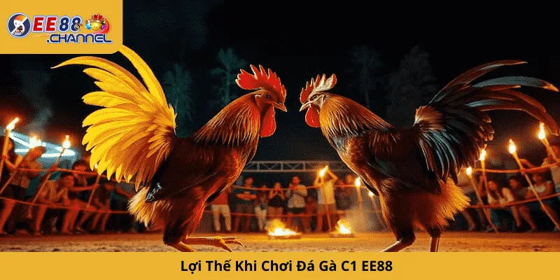 Lợi Thế Khi Chơi Đá Gà C1 EE88