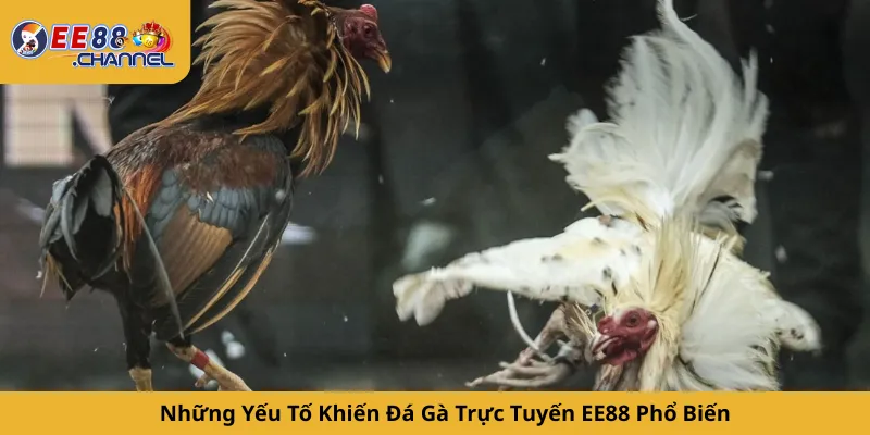 Những Yếu Tố Khiến Đá Gà Trực Tuyến EE88 Phổ Biến